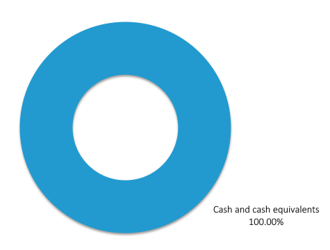 AMP Cash Investment Mix