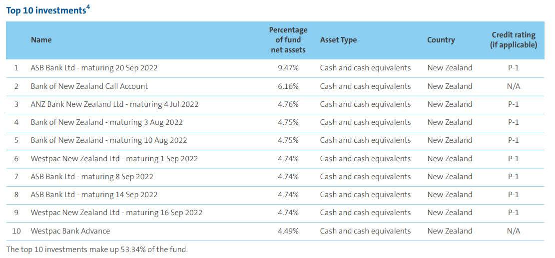 AMP Cash Top 10 Investments