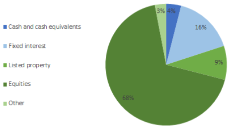 ANZ Actual Asset allocation