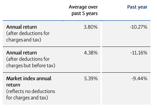 BNZ Balanced Returns