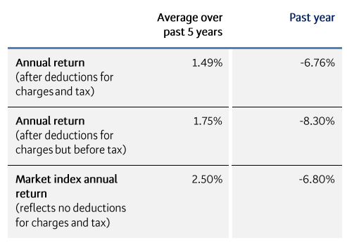 BNZ Conservative Returns