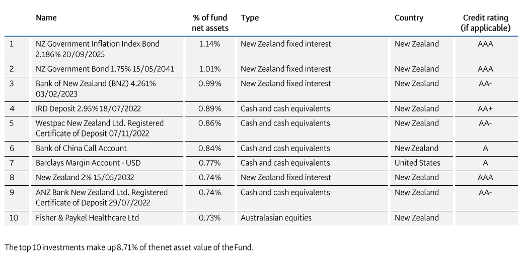 BNZ Conservative Top 10 Investments