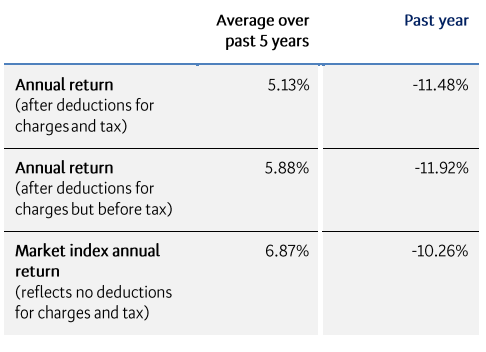 BNZ Growth Returns-1
