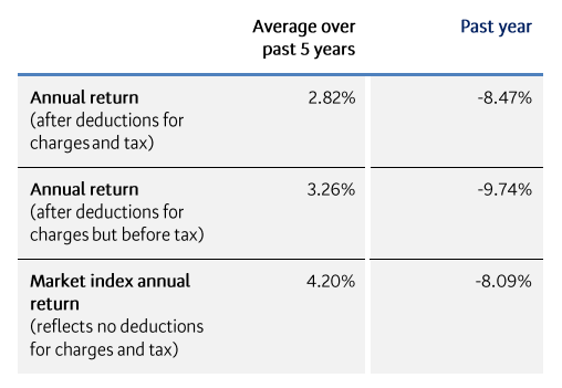 BNZ Moderate Returns