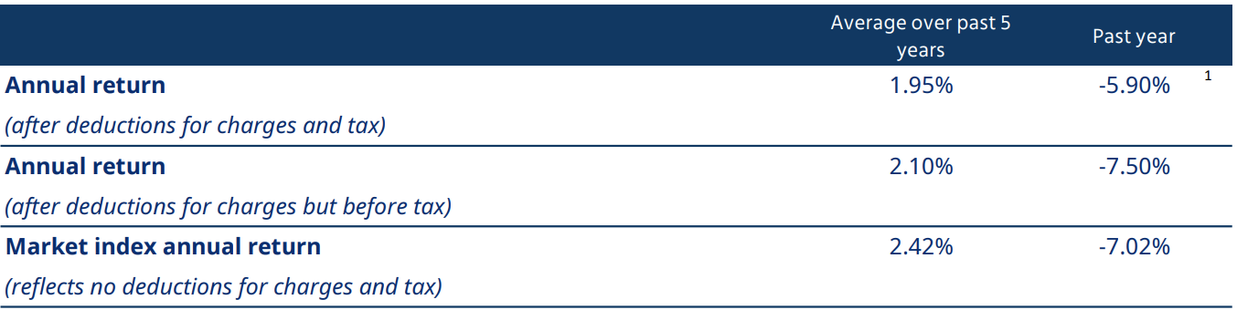 Conservative Returns-1