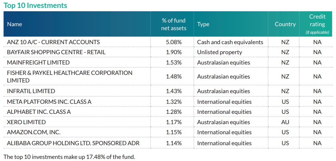 Fisher Funds Balanced Top 10 Investments