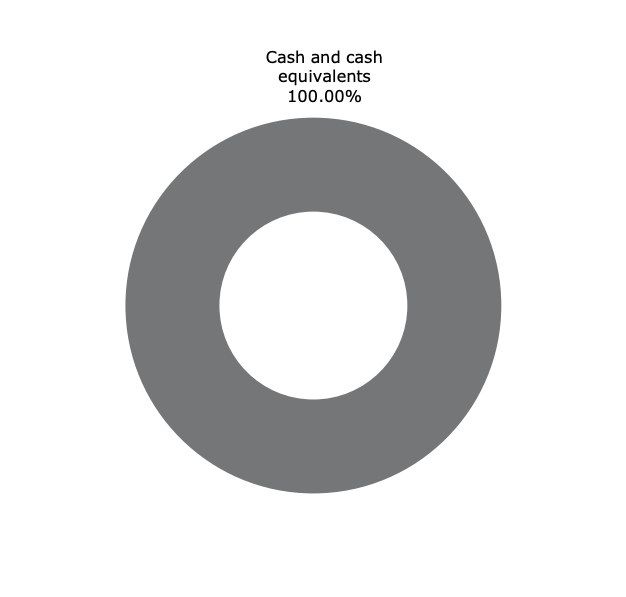 Investment Mix - ANZ Cash Fund Dec 2021