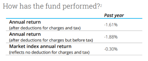Summer conservative returns