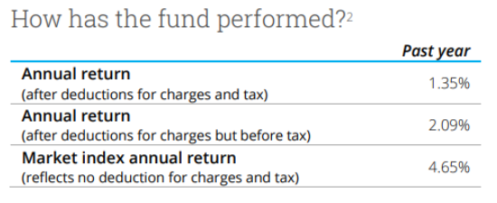 Summer growth returns