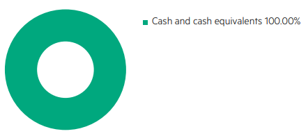 Kiwiwealth Cash Investment Mix