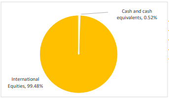Koura KiwiSaver Emerging Market Equity Fund Investment Mix