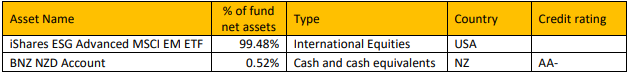 Koura KiwiSaver Emerging Market Equity Fund Top Ten Investments