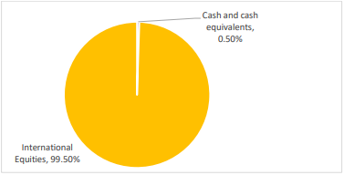Koura KiwiSaver US Equity Fund Investment Mix