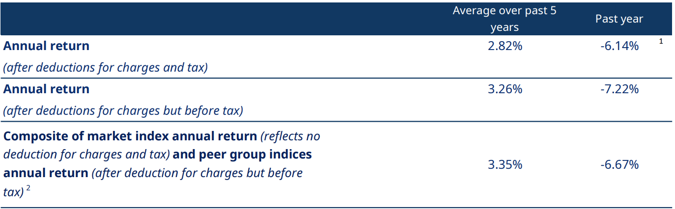 Moderate Returns
