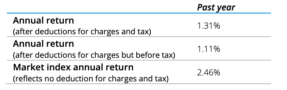 Return - Summer Conservative Dec 2021