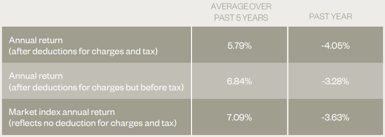 Simplicity KiwiSaver Growth March 2023 - returns