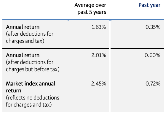 BNZ KiwiSaver First Home Buyer March 2023 - returns