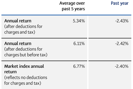 BNZ KiwiSaver Growth March 2023 - returns