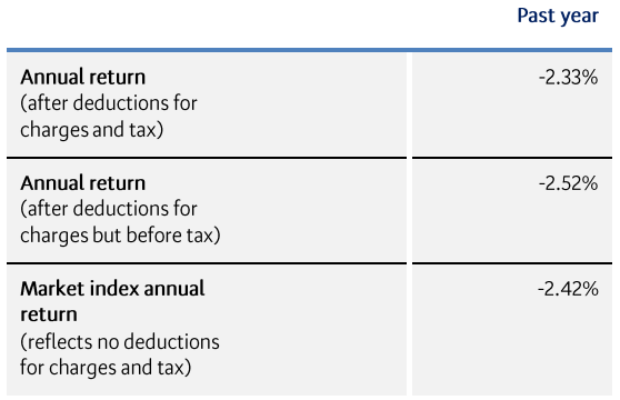 BNZ KiwiSaver Default March 2023 - returns