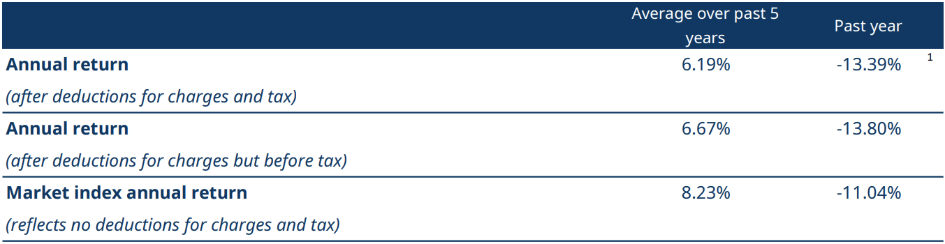 Shares Returns